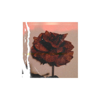 Ashes_of_Your_Love